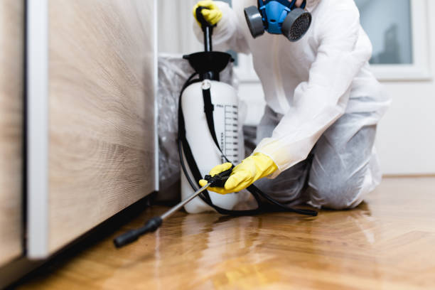 Best Mosquito Control Services  in Ford City, CA