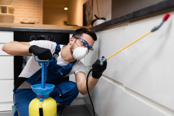 Best Pest Prevention Services  in Ford City, CA