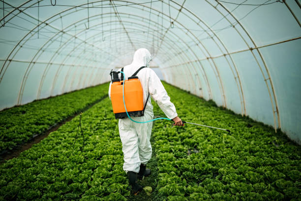 Best Mosquito Control Services  in Ford City, CA