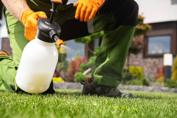 Best Pest Inspection Near Me  in Ford City, CA