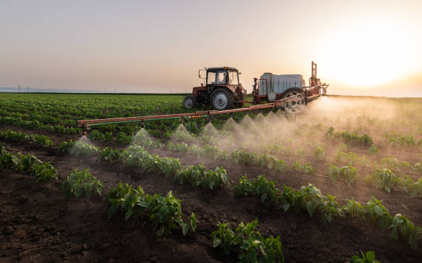 Best Bird Control  in Ford City, CA