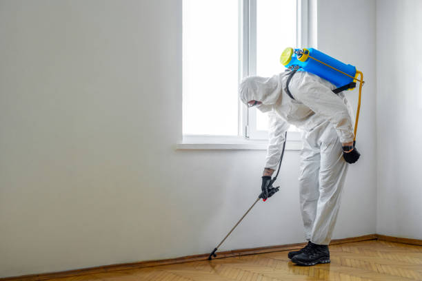 Best Residential Pest Control  in Ford City, CA