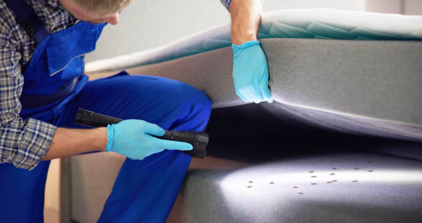 Best Pest Inspection Near Me  in Ford City, CA