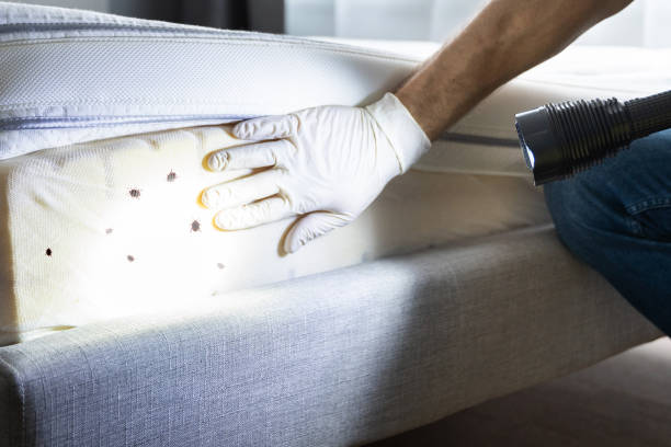 Pest Prevention Services in Ford City, CA