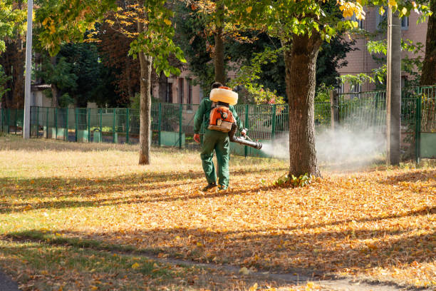 Trusted Ford City, CA Pest Control Experts